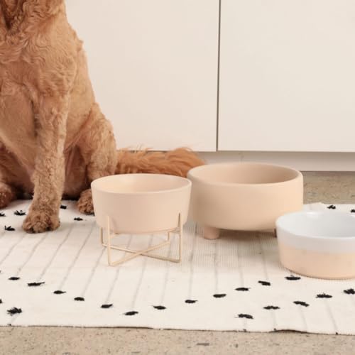 Uplift Elevated Ceramic Dog Bowl (Small / Buttercream)