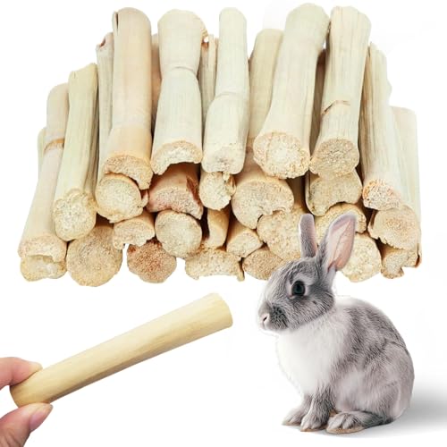 250g(0.55lbs) Sweet Bamboo Chew Sticks Rabbit Toys for Grinding