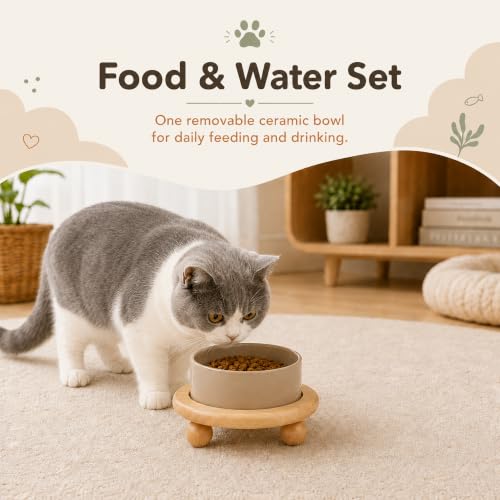 Raised Cat Bowl 5.1” Elevated Ceramic Cat Food and Water Bowl (Greige)
