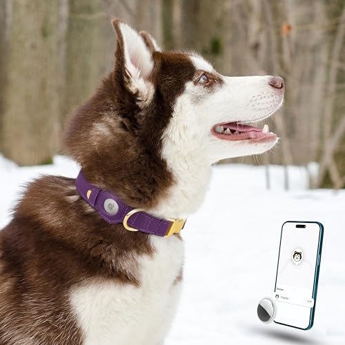Leather Airtag Dog Collar (Purple / XL, 20"-25" Neck Fit)