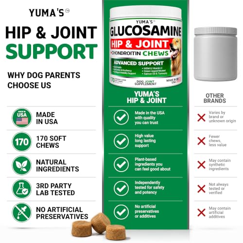 2 Pack) Glucosamine for Dogs - 340 Ct - Hip and Joint Supplement for Dogs (Glucosamine / 340 Chews)