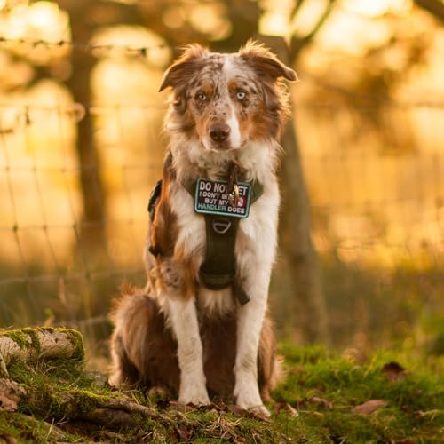 Tactical Dog Harness for Small Dogs (S(Chest:16.1"-31.5",Neck:15.4"-21.6",Back:7.1") / Orange)