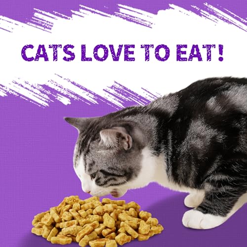 13.4 OZ Lysine Cat Treats Natural Salmon Flavor Healthy Cat Training Biscuits Snacks Lysine Dental Care Treats for Cats & Kittens
