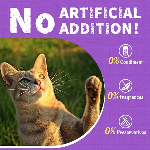 13.4 OZ Lysine Cat Treats Natural Salmon Flavor Healthy Cat Training Biscuits Snacks Lysine Dental Care Treats for Cats & Kittens