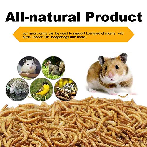 10lb Dried Mealworms for Chickens Duck High Protein Birds Treat (10 Pound (Pack of 1))