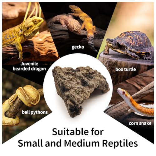 Reptile Hide Bearded Dragon Cave Hideouts Habitat Décor for Snake (Large)