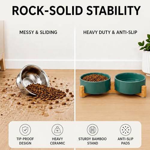 Ceramic Dog and Cat Bowl Set with Wooden Stand (1.7 cups / Light Green × 2)