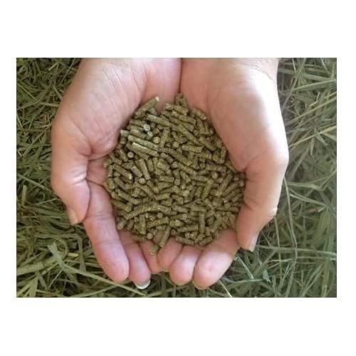 Guinea Pig Food Pellets (20 Pound (Pack of 1))