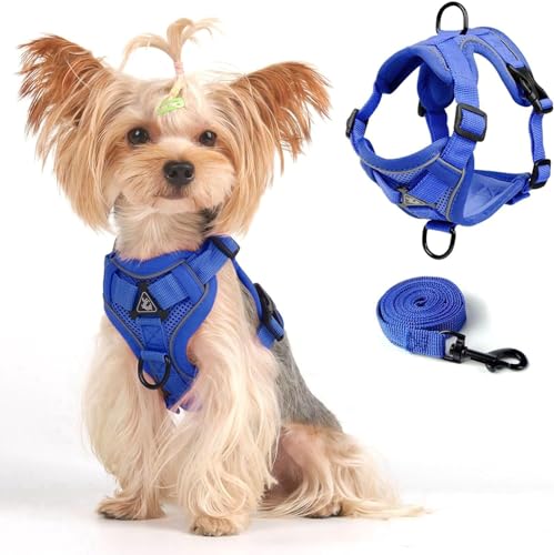 Cat Harness and Leash Set (Blue / M)