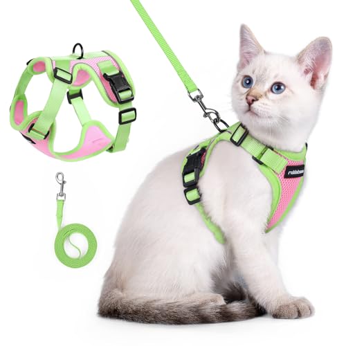 Cat Harness and Leash Set (Pink & Light Green / Xxs)