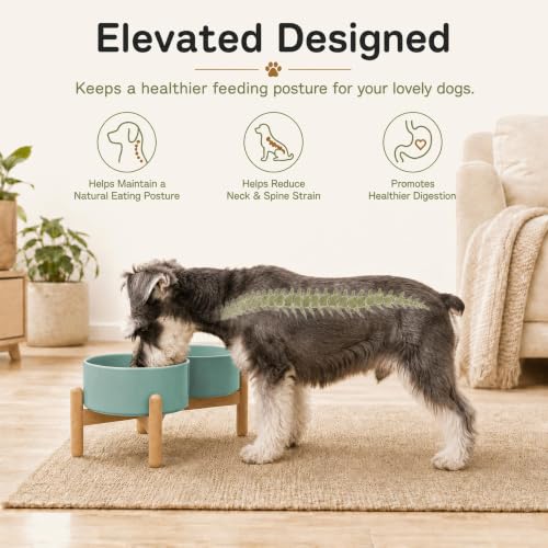 Ceramic Dog Bowls Elevated (Light Green)