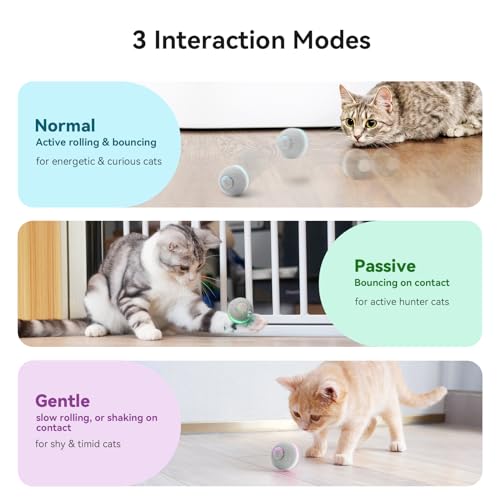 Smart Interactive Cat Toy (Grey)