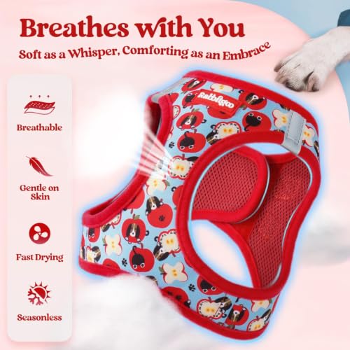 Dog Harness Small Sized and Leash Set (Apple Pups / Xxs (chest: 12.4 - 14.2"))
