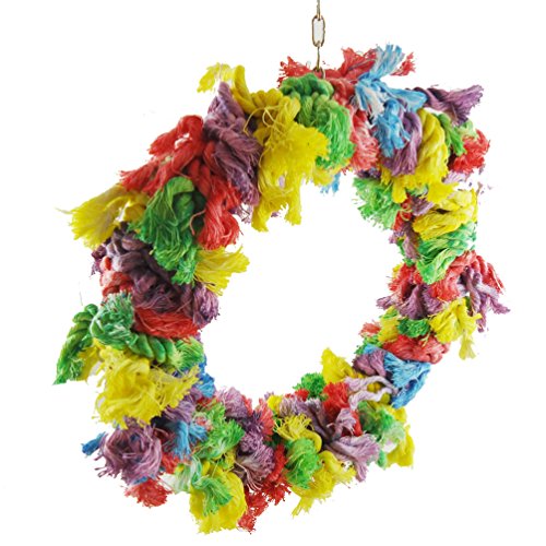 Bird Parakeet Colorful Swing Toys (Large)