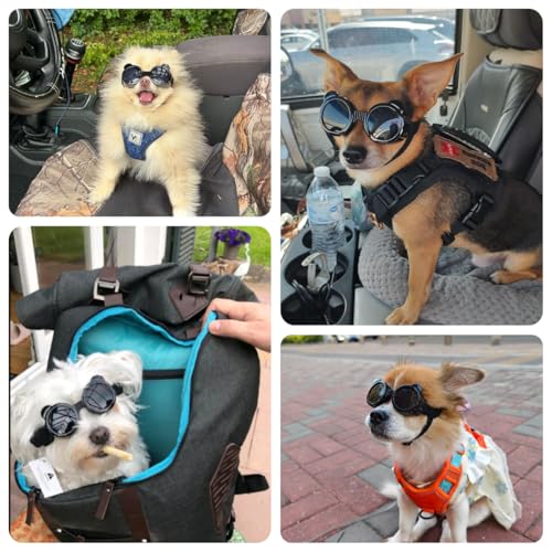 Dog Goggles for Small Breed UV (Black / X-Small)