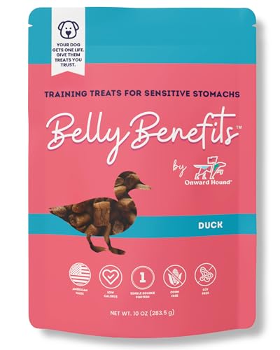 Belly Benefits Soft Dog Training Treats (10 Ounce)