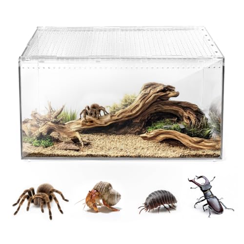 Escape Proof Tarantula Enclosure (XLarge(15.74*9.84*7.87inch))