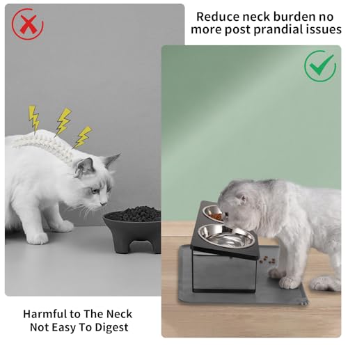 2Pack Elevated Cat Bowls with Food Mat