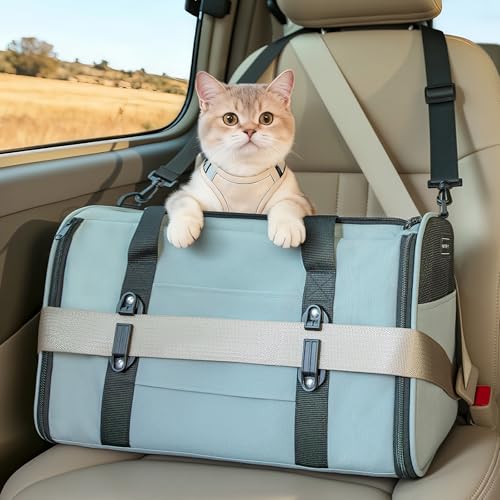 Large Cat Carrier with Patented Safety Buckles (19.0"L x 12.0"W x 12.0"H / Cyan blue)