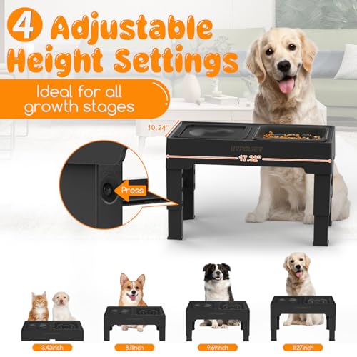 2-in-1 Elevated Slow Feeder Dog Bowls with No-Spill Water Bowl