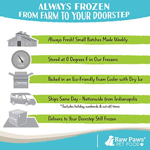 Frozen Raw Beef Recipe Dog & Cat Food (1 Pound (Pack of 10))