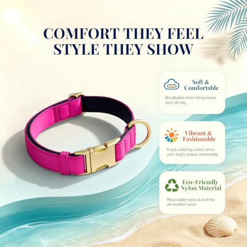 Soft Padded Dog Collar for Medium Dogs (Rose Purple / M：Fit 14-18" Neck, Width ¾")