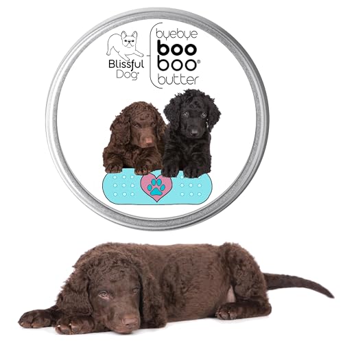 Curly Coat Retriever Boo Boo Butter (4 Ounce / Curly Coat Retriever)