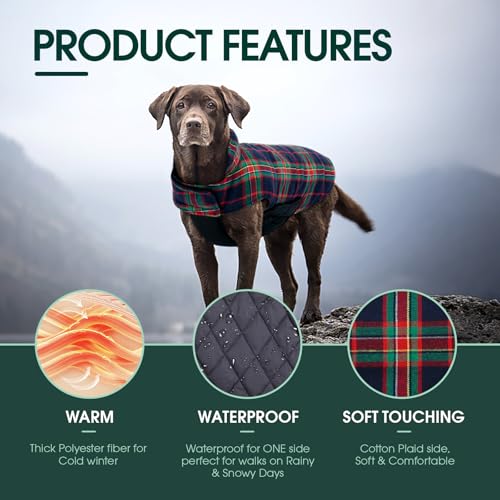Waterproof Dog Coat (Royal Blue / Large (Pack of 1))