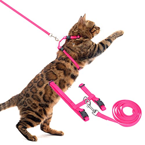 Adjustable Cat Harness and Leash Set Escape Proof Kitten Strap Collar for Walking Travel (Small / Hot Pink)