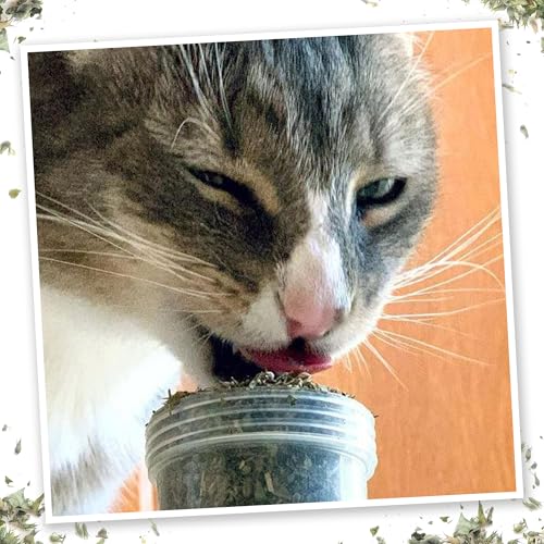 Meowi Waui Catnip Blend