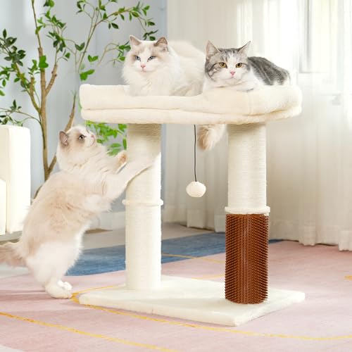Cat Tree Tower for Large Cats Cat Scratching Post with Bed 20x16“ (Large / Beige)