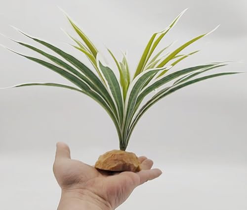 Reptile Plants Terrarium Decor (Fake Spider Plants)