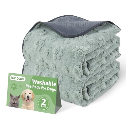 Washable Pee Pads for Dogs (Green Dog Element / 36"x24"(Pack of 2))