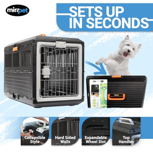 USA Pet Carrier & Crate (Medium - Orange handle / without kit)