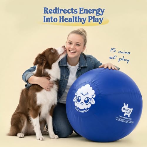 22" Herding Ball for Dogs Tetherball Set Outside (Ocean - 22" Tether Ball / Tether)