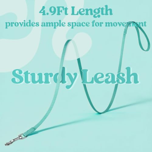 Cat Harness and Leash Set (XL / Green)
