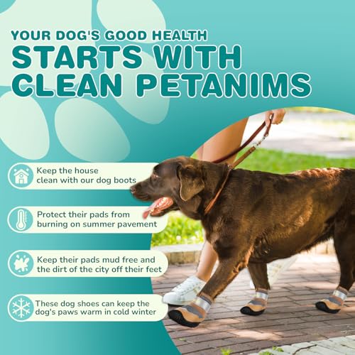 Dog Shoes for Large Dogs (Gray / Width 2.36 inches)