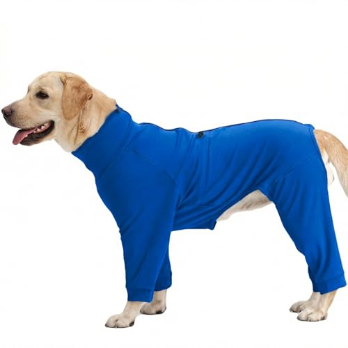 Recovery Suit for Large Dogs (Blue / 2XL)