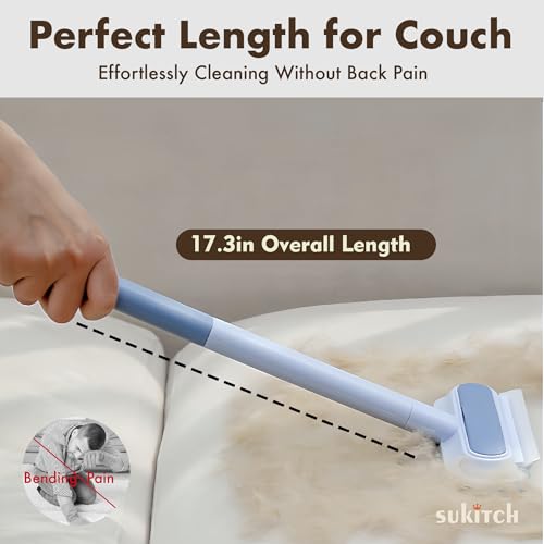 Dog & Cat Hair Remover for Couch