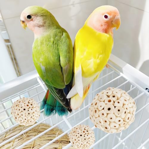 Bird Hoop Swing and Parakeet Toys (colorful)