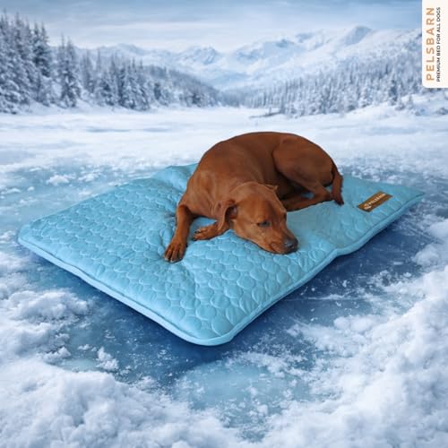 Dog Cooling Mat (Light Blue / Large)