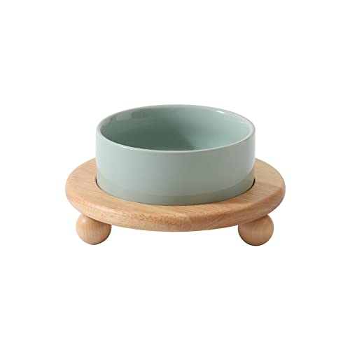 Raised Cat Bowl 5.1” Elevated Ceramic Cat Food and Water Bowl (Light Green)