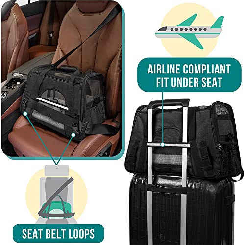 Airline Approved Pet Carrier for Cats & Small Dogs (Black / 19.5"L x 10.2"W x 12.0"H)
