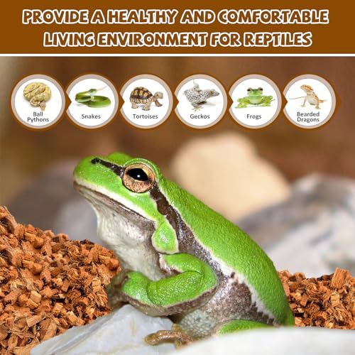 2 Pack Coconut Husk for Reptiles (2 Pack)