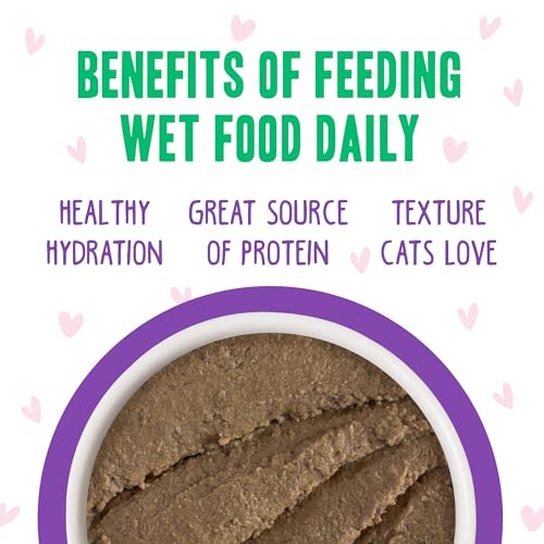 B.F.F. Play Best Feline Friend Paté Lovers (2.8 Ounce (Pack of 12))