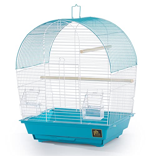 South Beach Dome Top Bird Cage (Dome - Teal / 10.6"L x 0.6"W x 18.1"H)