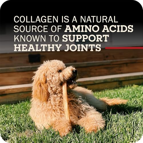 Redbarn 12" Large Collagen Sticks 100% Natural Beef Dog Chew (Large / 1 Ounce (Pack of 3))