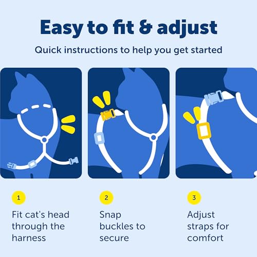 Come with Me Kitty Harness and Bungee Cat Leash (Large (Pack of 1) / Royal Blue)