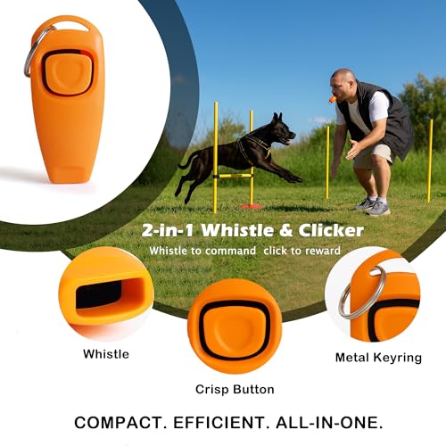 Dog Treat Pouch Bag for Training