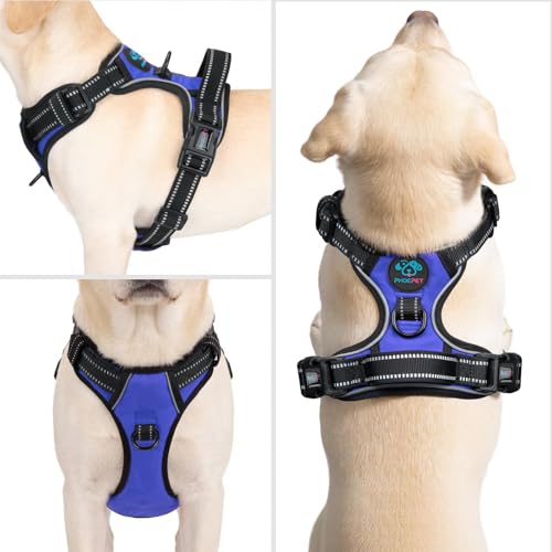 No Pull Dog Harnesses for Small Puppies Reflective Adjustable Front Clip Vest with 2 Metal Leash Attachment Hooks Soft Handle [Over The Head Design] (Small / Royal Blue)